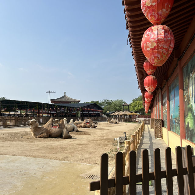 Millennium City Park - Kaifeng! 