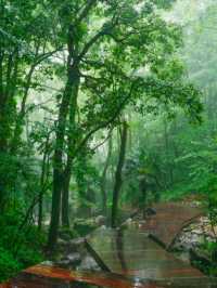 Double Dragon Cave, National 5A Scenic Spot