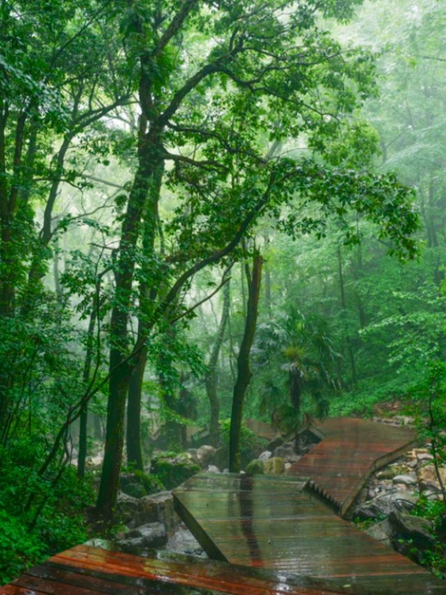 Double Dragon Cave, National 5A Scenic Spot
