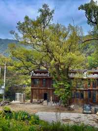 探秘上坦村，邂逅水墨江南