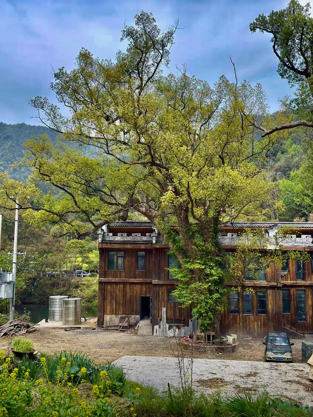 探秘上坦村，邂逅水墨江南