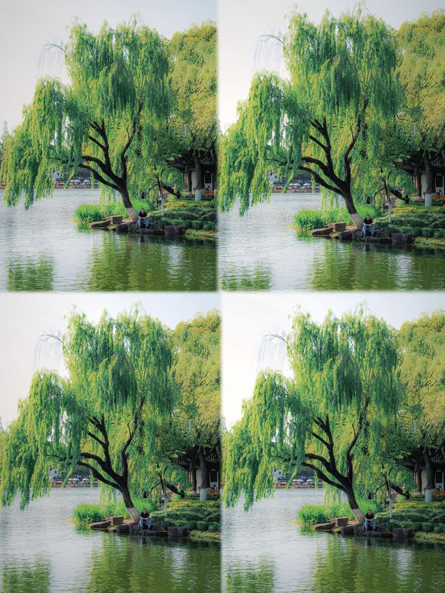 寧波火車站旁嘅隱藏王者月湖公園5A級美貌暴擊