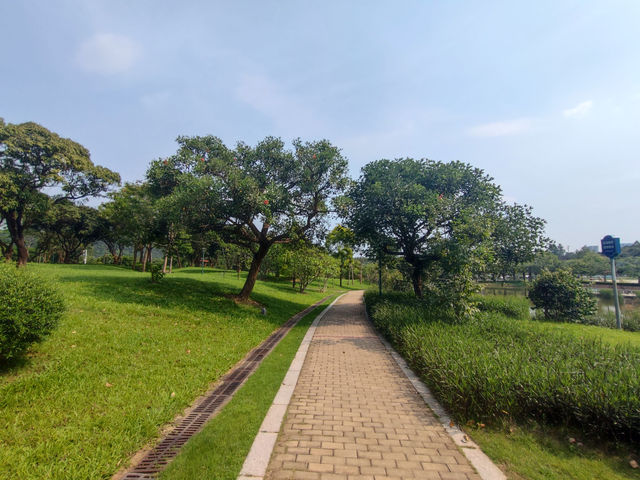 《河畔小憩，遇見公明的慢調時光》