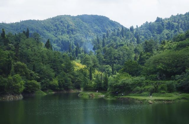 與清涼接軌嘅綠野仙蹤