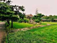 Exploring Chaoyang District's Parks: A Green Oasis in Beijing
