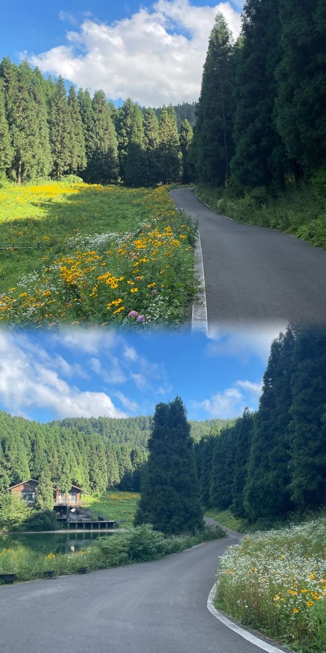 重慶20℃嘅森林冷氣房！