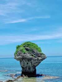 海龜之鄉，花瓶岩的第一道晨光