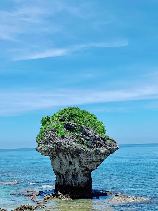 海龜之鄉，花瓶岩的第一道晨光