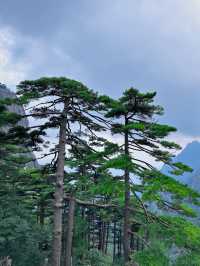 黃山絕美日出必打卡
