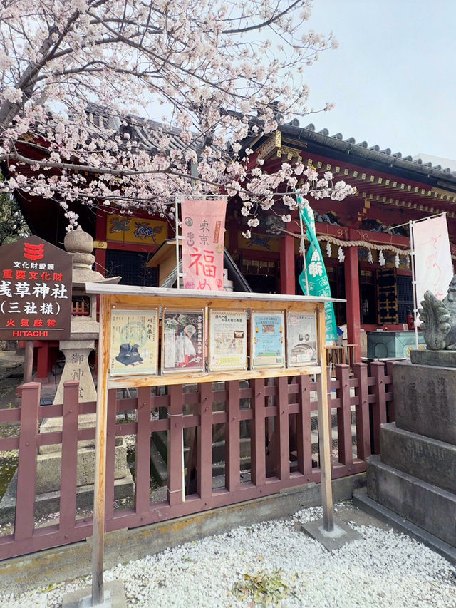 東京｜淺草神社｜傳統與文化的千年守護者