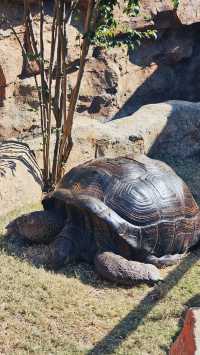 海底隧道餐廳打卡必去
