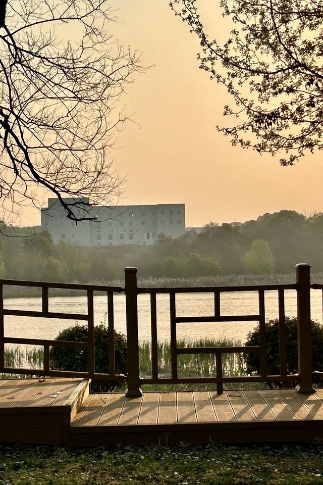 🎡 New Family-Friendly Fun in Wuhan!  Check Out Tanghu Park