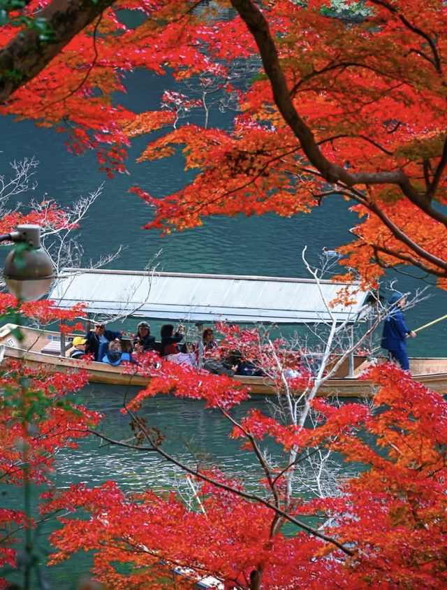 日本紅葉3大區穩妥觀賞期指南來啦