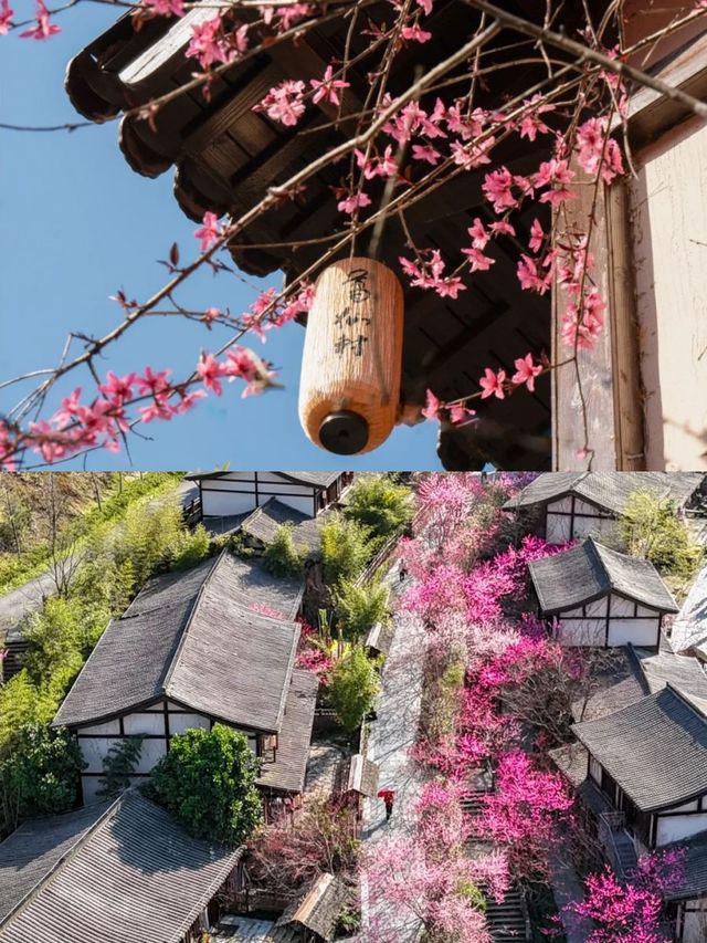 江西葛仙村｜比黃山更仙的避世秘境