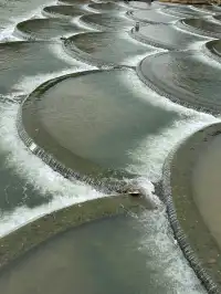 三月來崇左｜住進山水畫的正確姿勢
