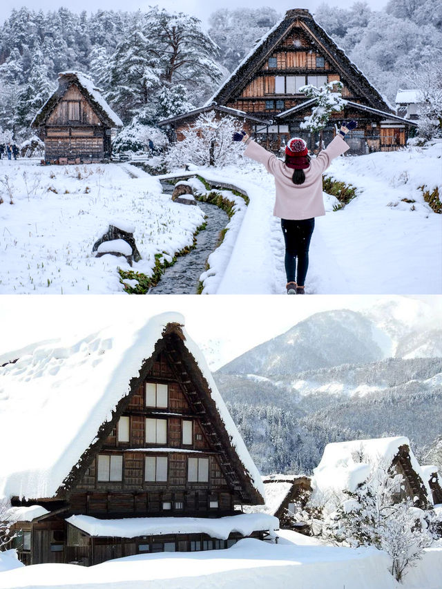 冬天一定要去白川鄉+金澤，美過北海道