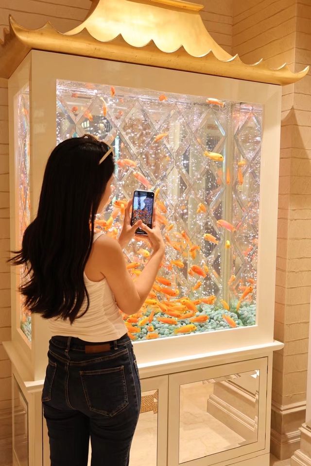 澳門歐式建築打卡指南