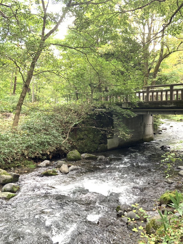 輕井澤三大必去景點路線🌿  
