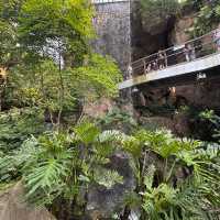 【上海】上海温室花園🪴｜写真映え×自然癒し×屋内観光にぴったり！