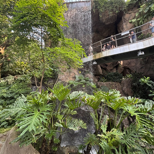 【上海】上海温室花園🪴｜写真映え×自然癒し×屋内観光にぴったり！
