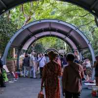 🌳 Shanghai Parks: Green Escapes in the Urban Jungle
