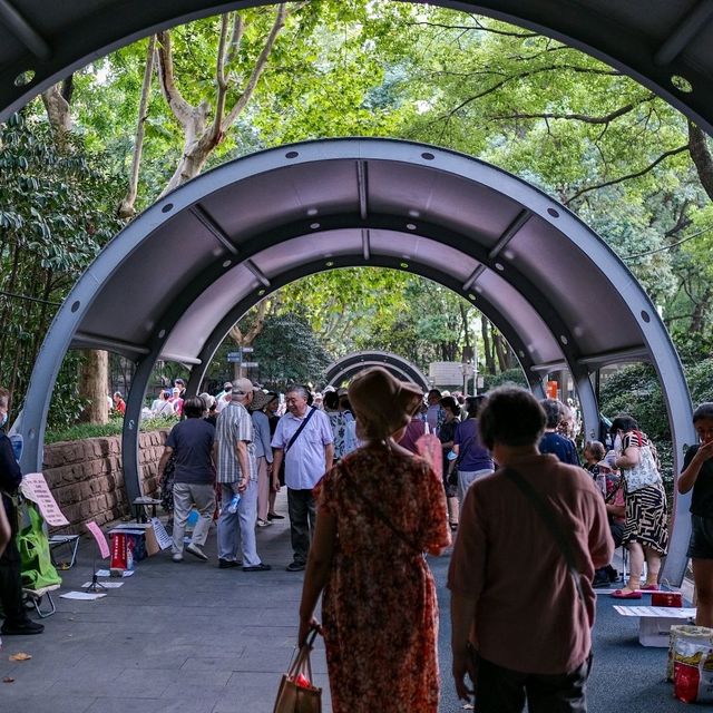 🌳 Shanghai Parks: Green Escapes in the Urban Jungle