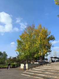穿漢服妝造昆明池·七夕公園超出片攻略