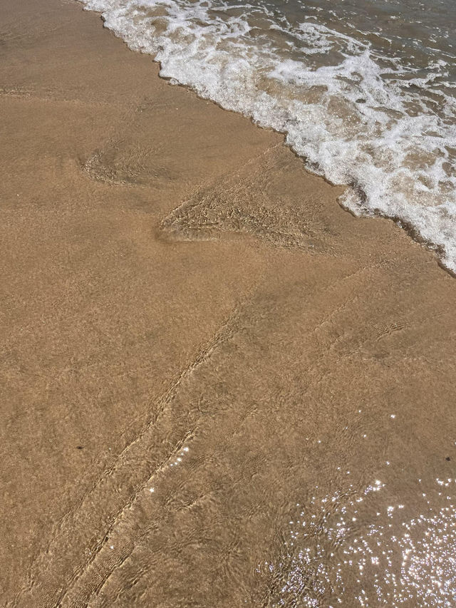 鹽洲島暢遊|海韻古風·秘境之旅 鹽洲島暢遊|海韻古風·秘境之旅