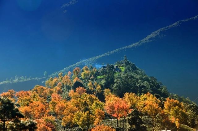雲深不知處哀牢山打卡攻略來啦！