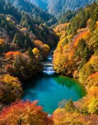 秋日賞楓絕佳秘境|10月中旬至11月中旬是賞秋黃金期
