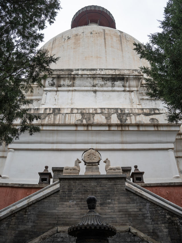 如果只拍白塔,沒必要花20進白塔寺 如果只拍白塔,沒必要花20進白塔寺