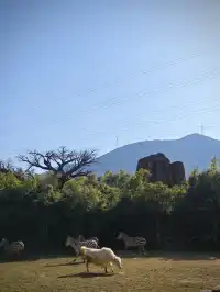逃離上海，來太湖龍之夢過週末啦