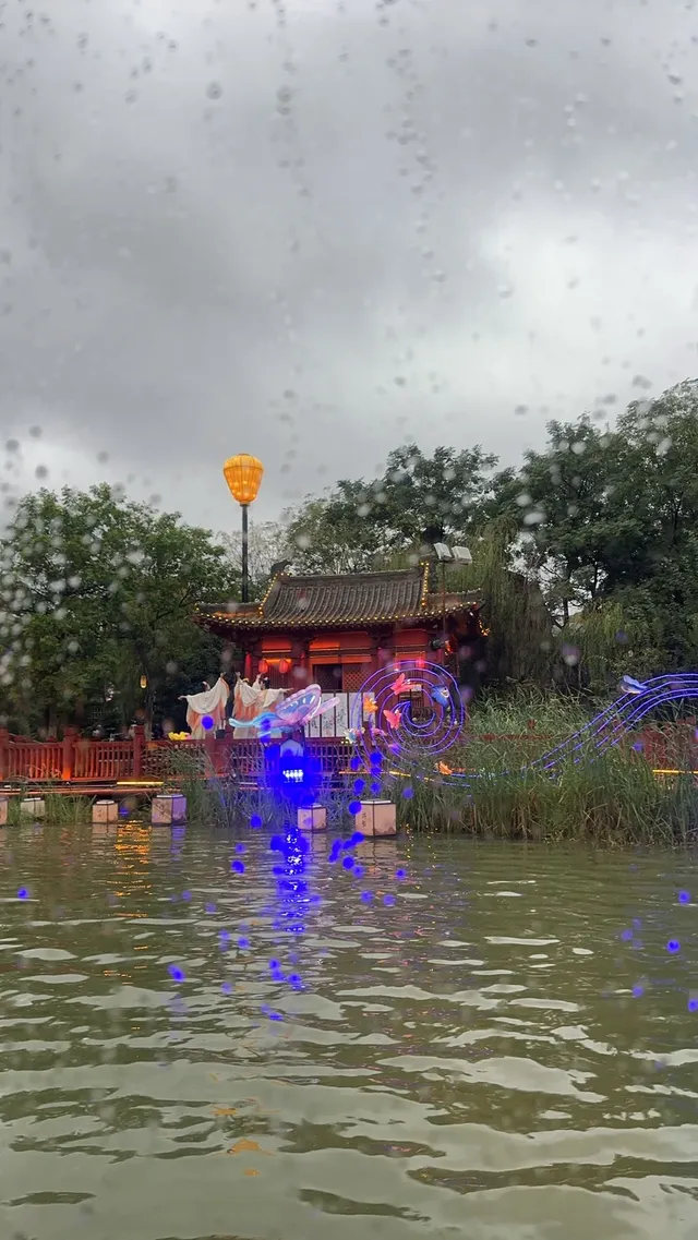 我發現了在開封不用暴走的輕鬆賞菊玩法