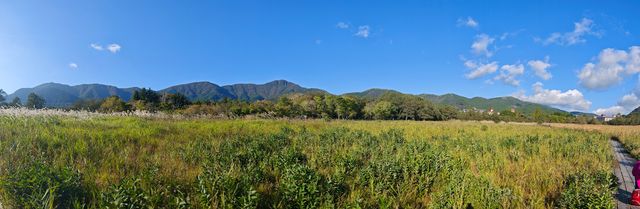 箱根濕生花園 —— 低調、但不可錯過的地方