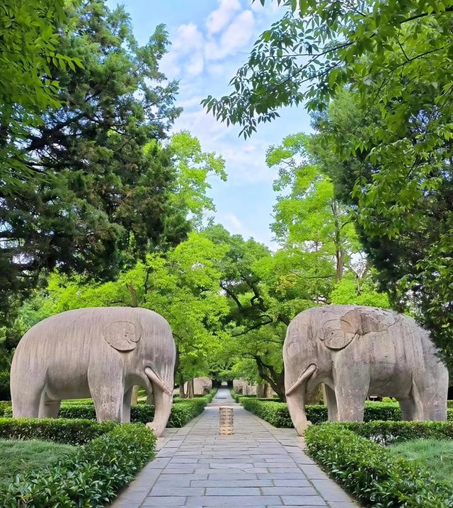 踏入明孝陵神道，歷史，觸手可及。