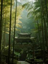 宜賓親子遊｜竹海一日超詳細時間表
