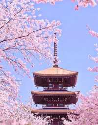 武漢東湖攻略及打卡推薦