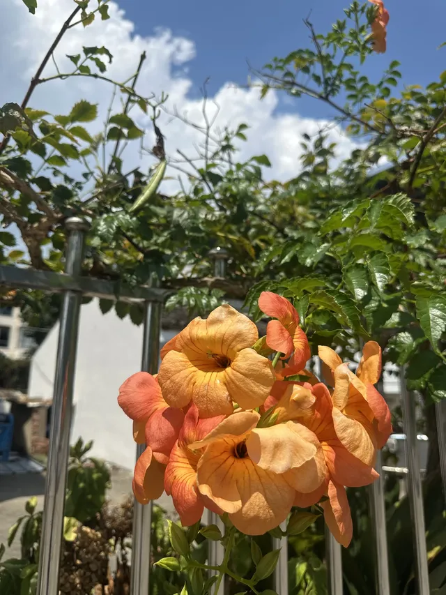 上海週末別扎堆!來這個海邊小鎮放鬆一下 上海週末別扎堆!來這個海邊小鎮放鬆一下