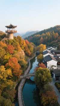 溫泉紅葉兩不誤