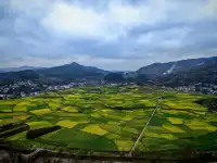 貴陽周邊｜這怎麼不算春天的油畫