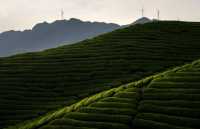 詩意的中國恩施站：恩施旅行攻略