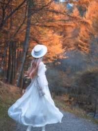 絕了！藏在邯鄲的七彩秋色仙境三條路線任你選