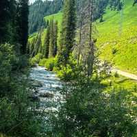 推薦一個超級美的地方……