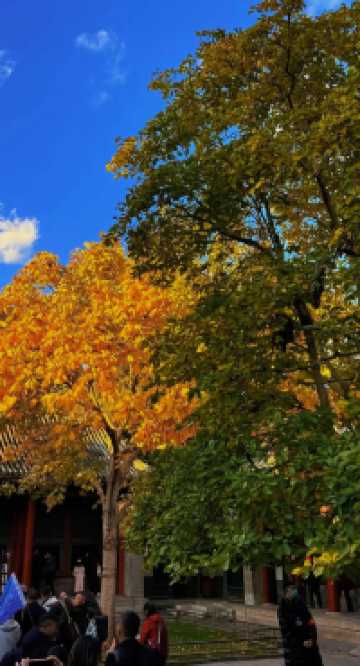 北京最美之秋——北京頤和園