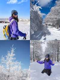 樺皮嶺踏雪：樺皮嶺會懲罰每一個不帶工具的人！