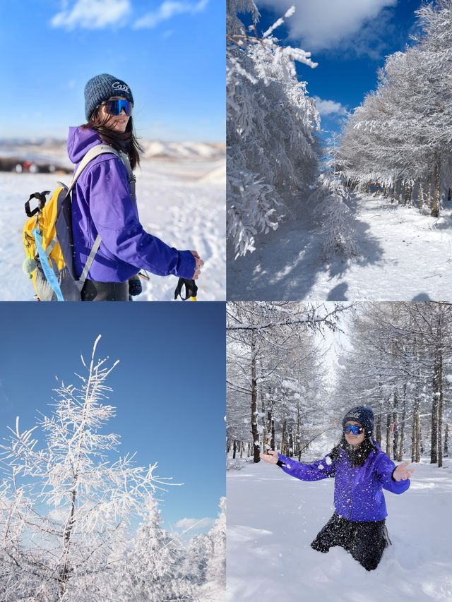 樺皮嶺踏雪：樺皮嶺會懲罰每一個不帶工具的人！