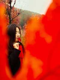 誰說看紅葉一定要去日本？河北這座小三峽美炸了！