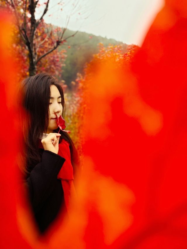 誰說看紅葉一定要去日本？河北這座小三峽美炸了！