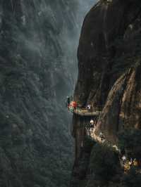 雲霧仙境徒步路線