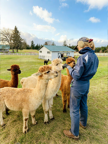秋遊澳新兩國這篇攻略不看虧大